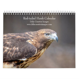 2027 Red-tailed Hawks North American Hawk Calendar