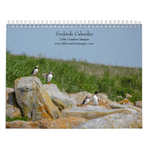 2027 Seabirds of Machias Seal Island   Maine Coast Calendar