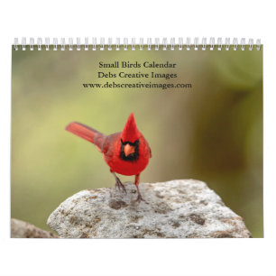 2027 Small Birds   Backyard Bird Photography Calendar