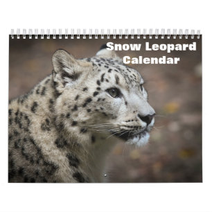2027 Snow leopard Calendar