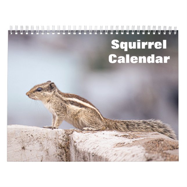 2027 Squirrel Calendar (Cover)