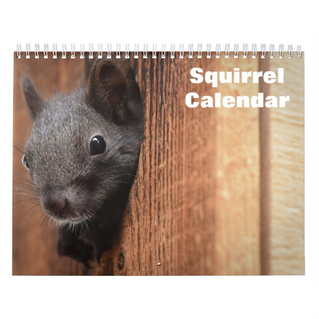 2027 Squirrel Calendar (Cover)