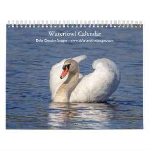 2027 Waterfowl & Wetland Birds   Nature Photo Calendar