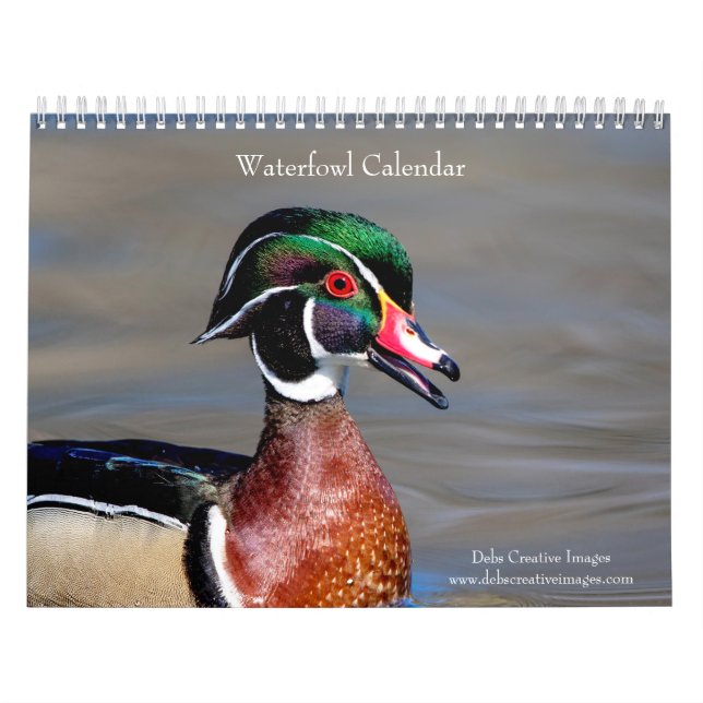 2027 Waterfowl & Wetland Birds | New York Wildlife Calendar (Cover)
