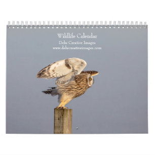 2027 Wildlife Adventures   Nature Photography Calendar