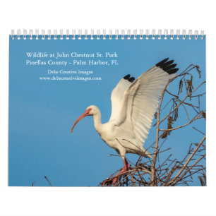 2027 Wildlife at John Chesnut Sr. Park Florida Calendar