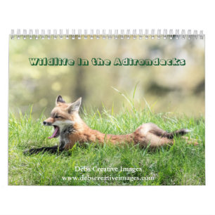 2027 Wildlife of the Adirondacks Nature Calendar