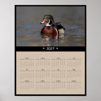 2027 Wood Duck Wall Calendar - Nature Birds