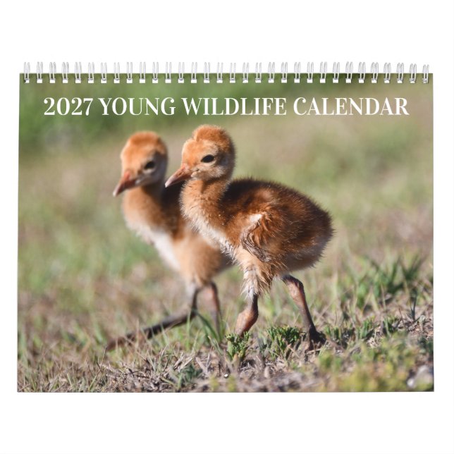 2027 Young Wildlife Calendar (Cover)