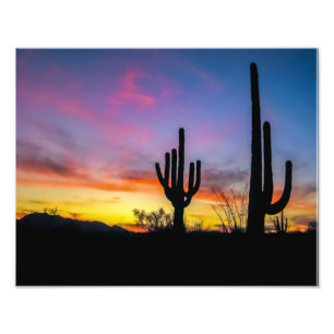 2034-2-Arizona Desert at Sunset with Cactus Photo Print