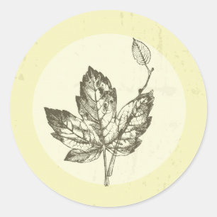 20 - 1.5  Envelope Seal Hand Drawn Fall Leaves