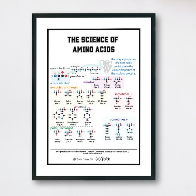 20 amino acids with its characteristics poster (Poster with Black frames with white matte)