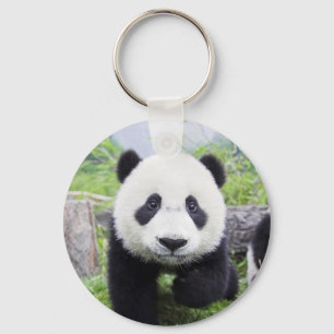 20_baby_animals (9) CUTE PANDA CUB WILD ANIMALS Key Ring