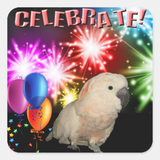 20 Moluccan Cockatoo stickers