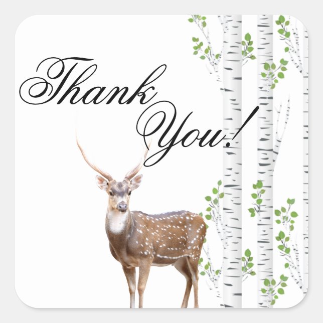 20 Thank You Stickers Deer Doe Buck Woodland Hunti (Front)