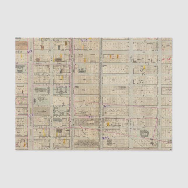 20 Ward 19 Tissue Paper (Front)