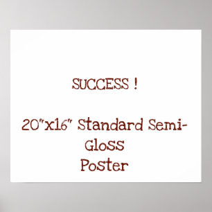 20"x16" Standard Semi-Gloss Poster