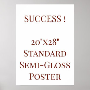 20"x28" Standard Semi-Gloss Poster