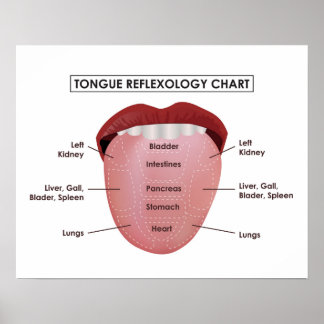 20" x 16", Tongue Reflexology Chart (Matte)