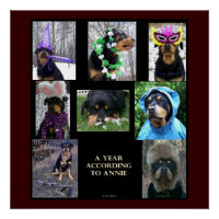 20 X 20" poster "A Year According To Annie"