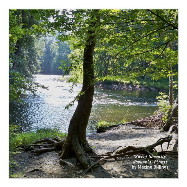 20" x 20", Poster (Semi-Gloss) (Front)