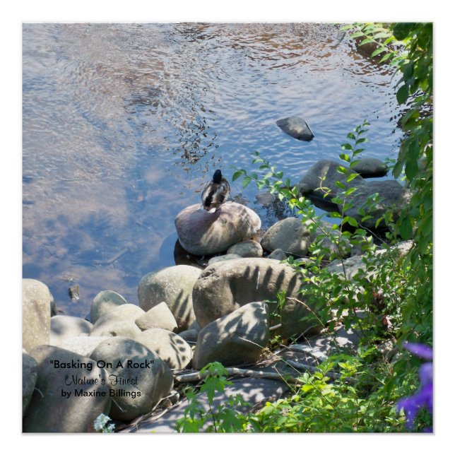 20" x 20", Poster (Semi-Gloss) (Front)