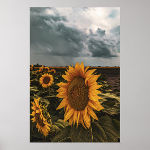 20x30 Wall Poster