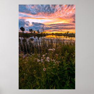 20x30 Wall Poster