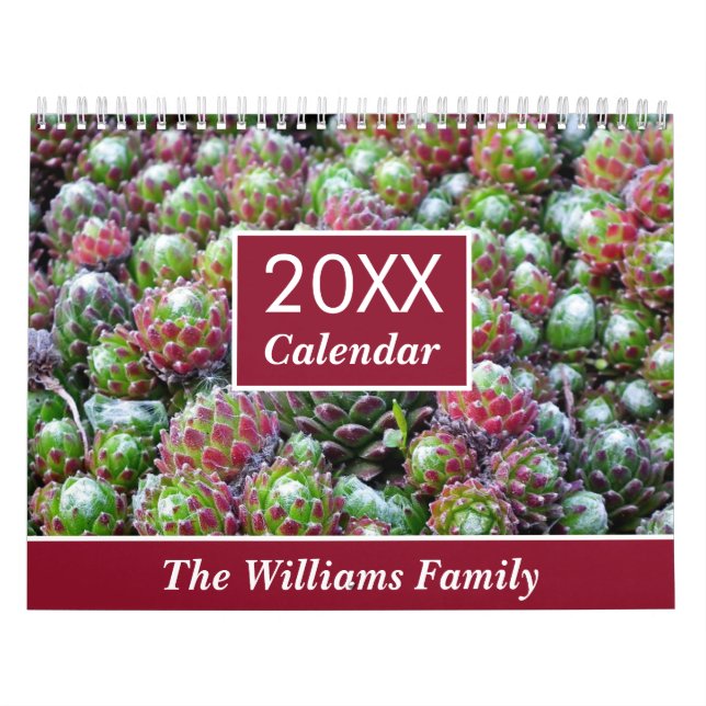 20XX Succulents Lovers Garden Personalised Monthly Calendar (Cover)