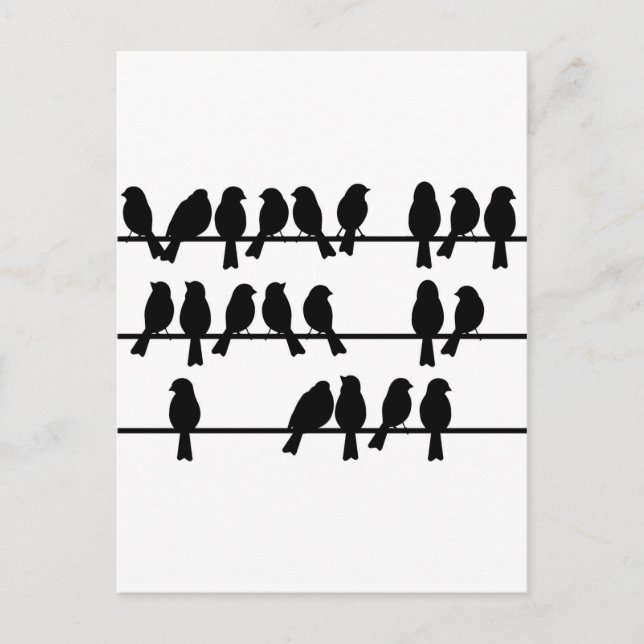 21 Birds On A Wire Postcard (Front)