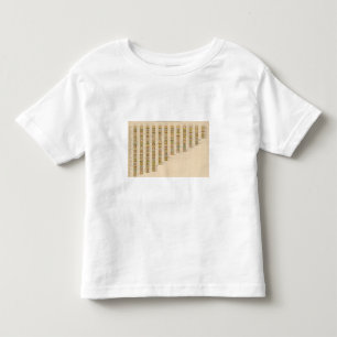 21 Rank of states Toddler T-Shirt