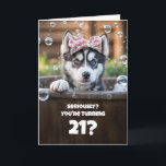 21st Birthday Cute and Funny Surprised Husky Card<br><div class="desc">This charming card showcases an adorable little husky with a surprised look,  bringing a delightful touch. It’s customizable for any age,  with this particular design made for a 21st birthday.</div>