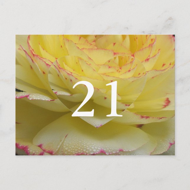 21st Birthday Delicate Floral Postcard (Front)