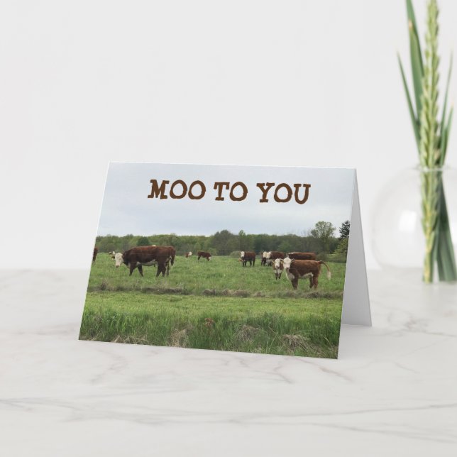 **21st BIRTHDAY** MOO TO YOU SAYS COWS Card (Front)
