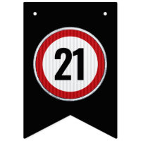 21st Birthday Speed Limit Sign - ANY AGE