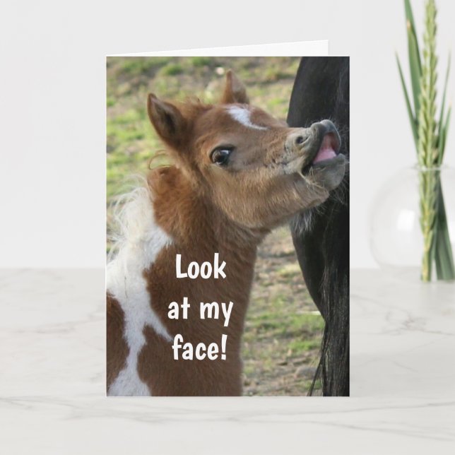 **21st BIRTHDAY** SURPIRSED PONY Card (Front)