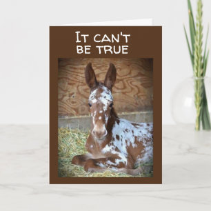 **21st BIRTHDAY** WISH FROM A COMEDIC HORSE Card