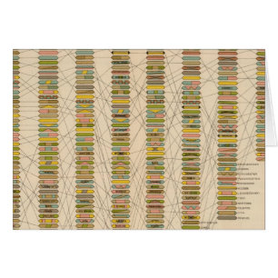 22 Rank of cities
