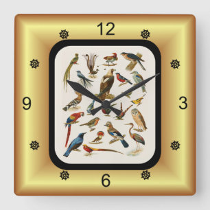 22 Species of Exotic Birds ~ L. Prang & Co.  Square Wall Clock
