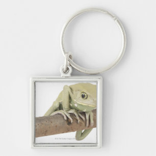 23568119 KEY RING
