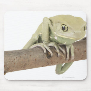 23568119 MOUSE PAD