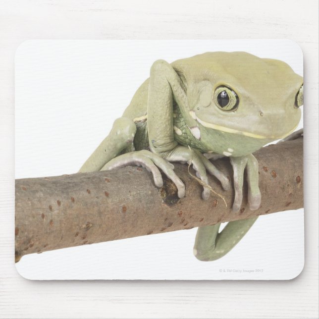 23568119 MOUSE PAD (Front)