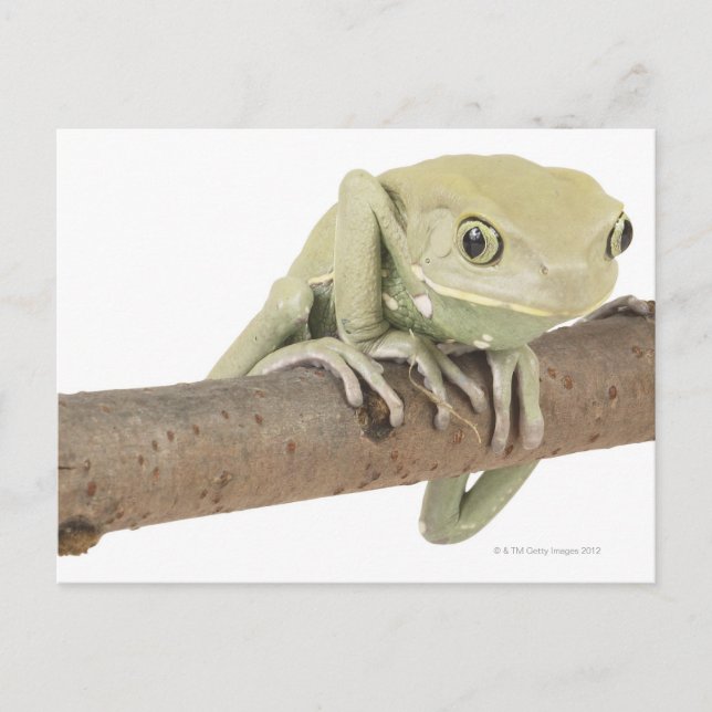 23568119 POSTCARD (Front)