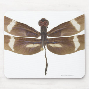 23599152 MOUSE PAD