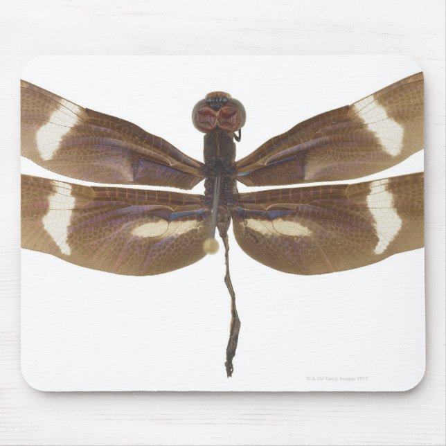 23599152 MOUSE PAD (Front)