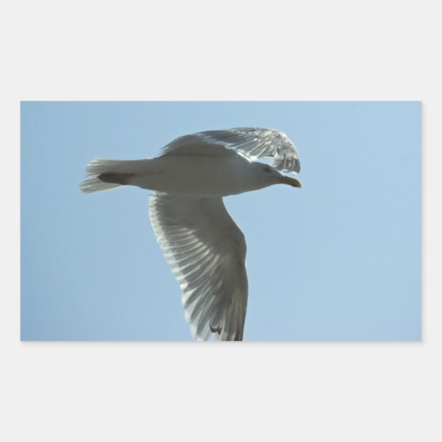 2367 RECTANGULAR STICKER (Front)