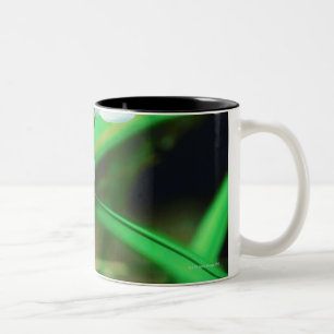 23873200 Two-Tone COFFEE MUG