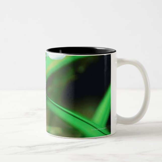 23873200 Two-Tone COFFEE MUG (Right)