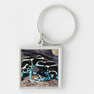 23898179 KEY RING