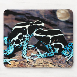 23898179 MOUSE PAD